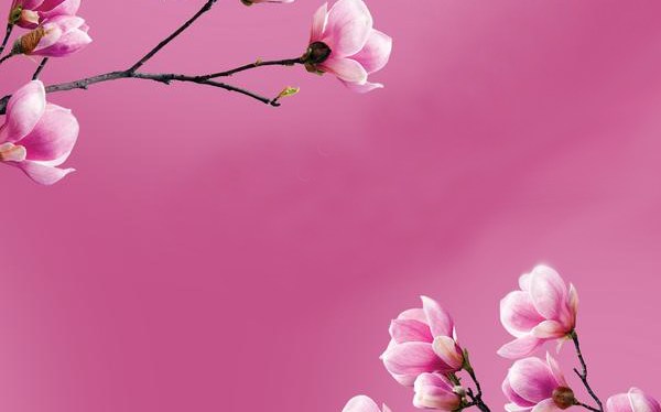 The Alchemy of Self&nbsp;Compassion