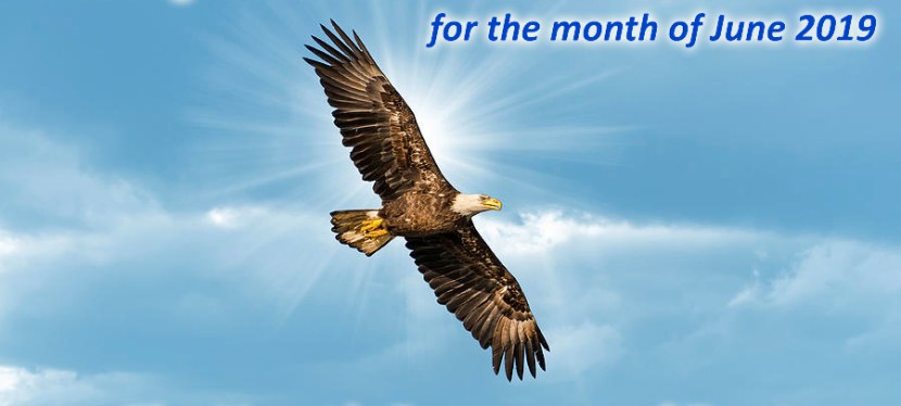 Message from Adama   —   The Heart’s Frequency of Trust  — June&nbsp;2019