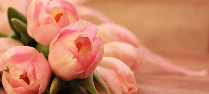 Message from Aurelia for February 2019      –          Active Intention of&nbsp;Love