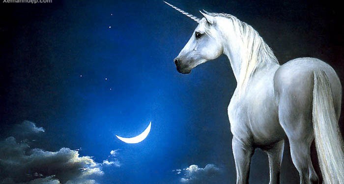 Full Moon Sound Serenity in Platinum Flame  – Outdoor&nbsp;Concert